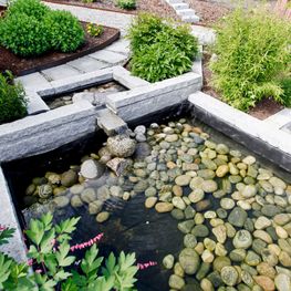  Nydelig dam med steiner